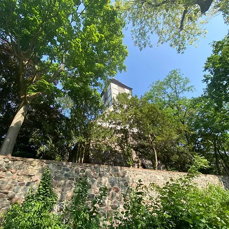 Side Park/historic/ber/thf Berlin